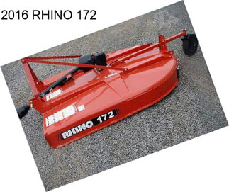 2016 RHINO 172