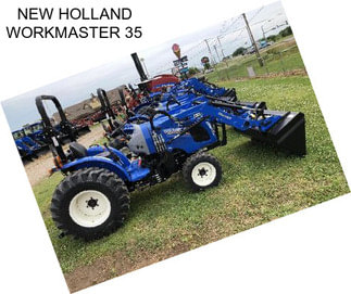 NEW HOLLAND WORKMASTER 35