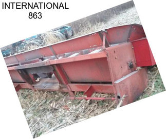 INTERNATIONAL 863