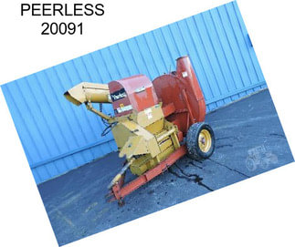 PEERLESS 20091