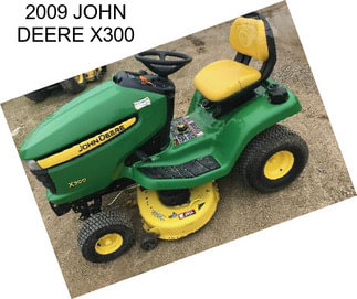 2009 JOHN DEERE X300