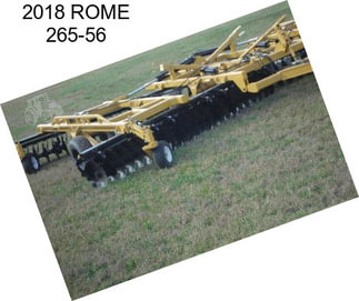 2018 ROME 265-56