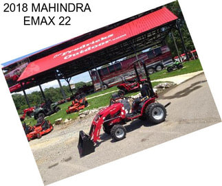 2018 MAHINDRA EMAX 22