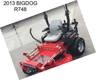 2013 BIGDOG R748