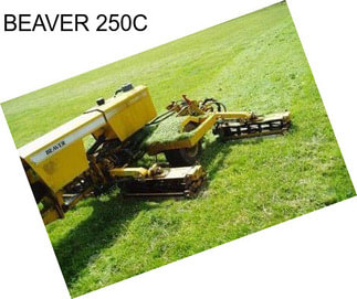 BEAVER 250C