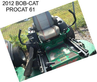 2012 BOB-CAT PROCAT 61