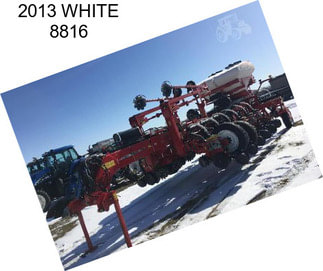 2013 WHITE 8816