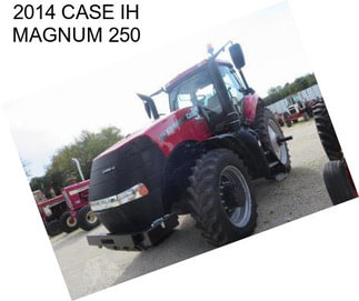 2014 CASE IH MAGNUM 250
