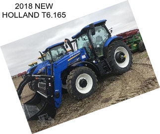 2018 NEW HOLLAND T6.165