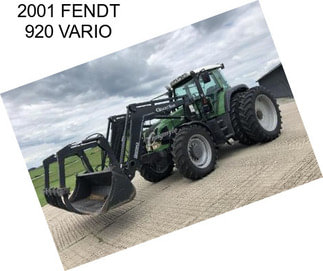 2001 FENDT 920 VARIO