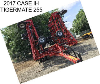 2017 CASE IH TIGERMATE 255