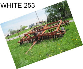 WHITE 253