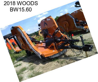 2018 WOODS BW15.60
