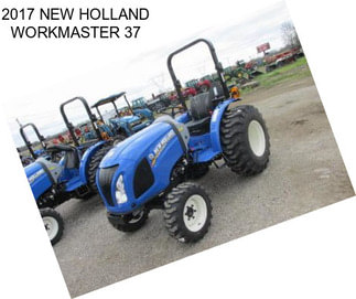 2017 NEW HOLLAND WORKMASTER 37