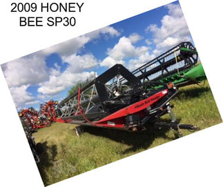 2009 HONEY BEE SP30