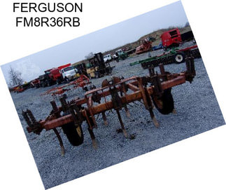 FERGUSON FM8R36RB