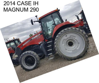 2014 CASE IH MAGNUM 290