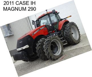 2011 CASE IH MAGNUM 290