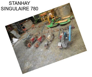 STANHAY SINGULAIRE 780