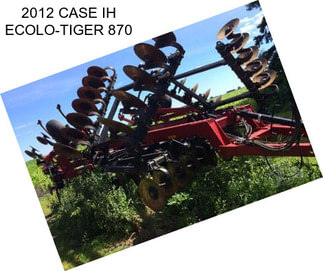 2012 CASE IH ECOLO-TIGER 870