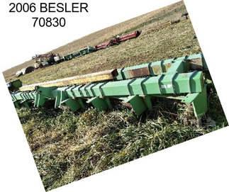 2006 BESLER 70830