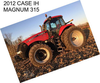 2012 CASE IH MAGNUM 315