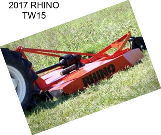 2017 RHINO TW15