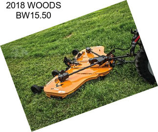 2018 WOODS BW15.50