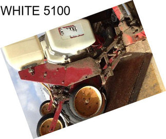 WHITE 5100