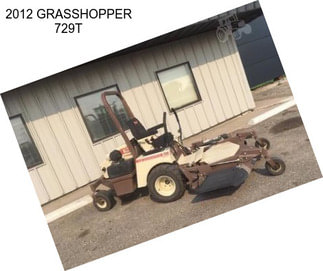 2012 GRASSHOPPER 729T