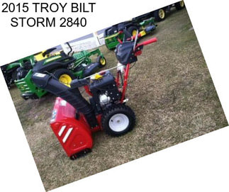 2015 TROY BILT STORM 2840