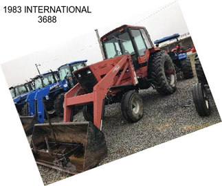 1983 INTERNATIONAL 3688