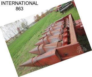 INTERNATIONAL 863