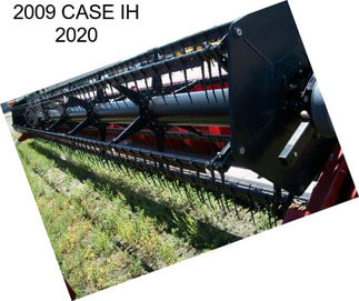 2009 CASE IH 2020