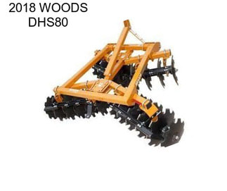 2018 WOODS DHS80