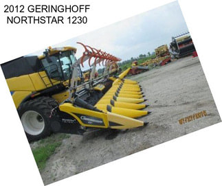 2012 GERINGHOFF NORTHSTAR 1230