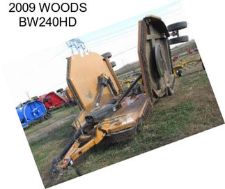 2009 WOODS BW240HD