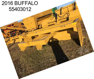 2016 BUFFALO 55403012