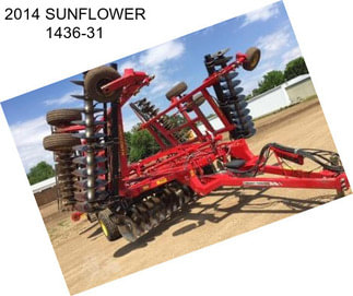 2014 SUNFLOWER 1436-31