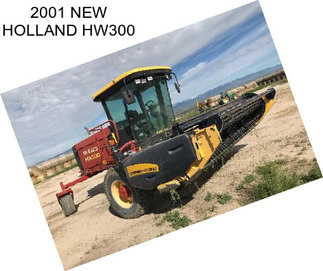 2001 NEW HOLLAND HW300