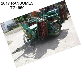 2017 RANSOMES TG4650