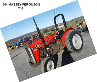 1994 MASSEY-FERGUSON 231