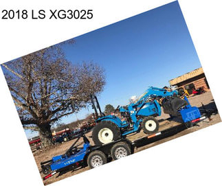 2018 LS XG3025