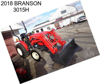 2018 BRANSON 3015H