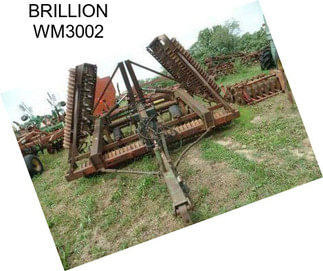 BRILLION WM3002