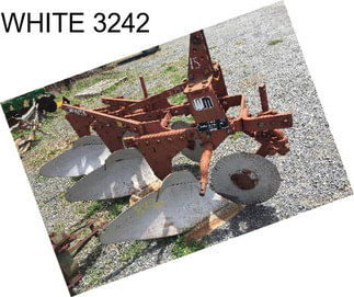 WHITE 3242