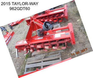 2015 TAYLOR-WAY 962GDT60