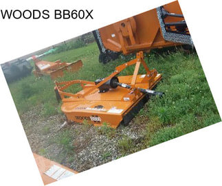 WOODS BB60X