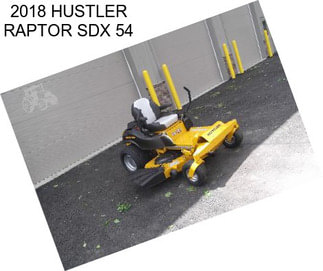 2018 HUSTLER RAPTOR SDX 54