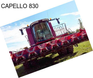 CAPELLO 830